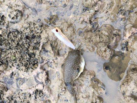 トップゲームは中毒化しやすい